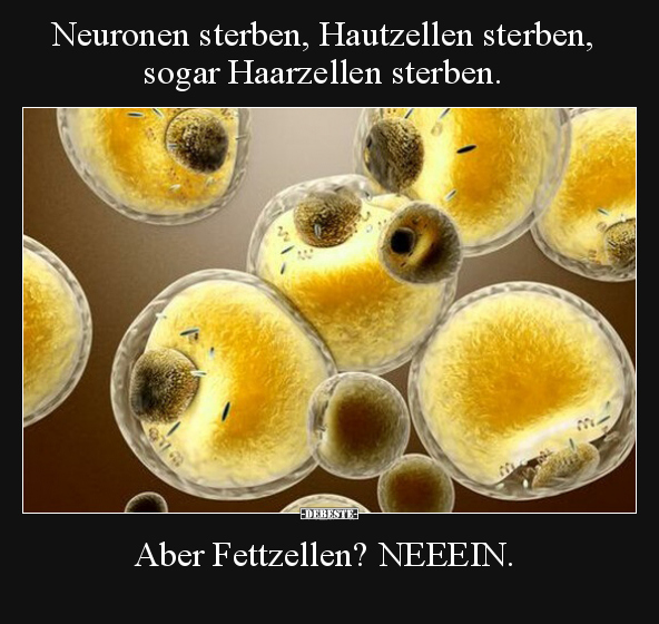 Neuronen sterben, Hautzellen sterben, sogar Haarzellen.. - Lustige Bilder | DEBESTE.de