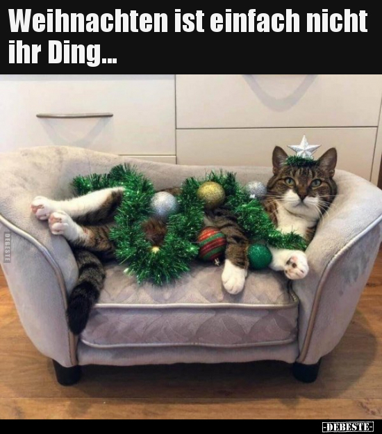 Weihnachten ist einfach nicht ihr Ding... - Lustige Bilder | DEBESTE.de