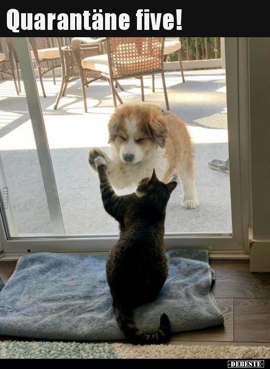 Quarantäne five!..