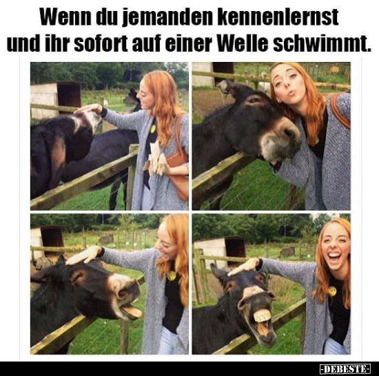 Wenn du jemanden kennenlernst und ihr sofort auf einer Welle..