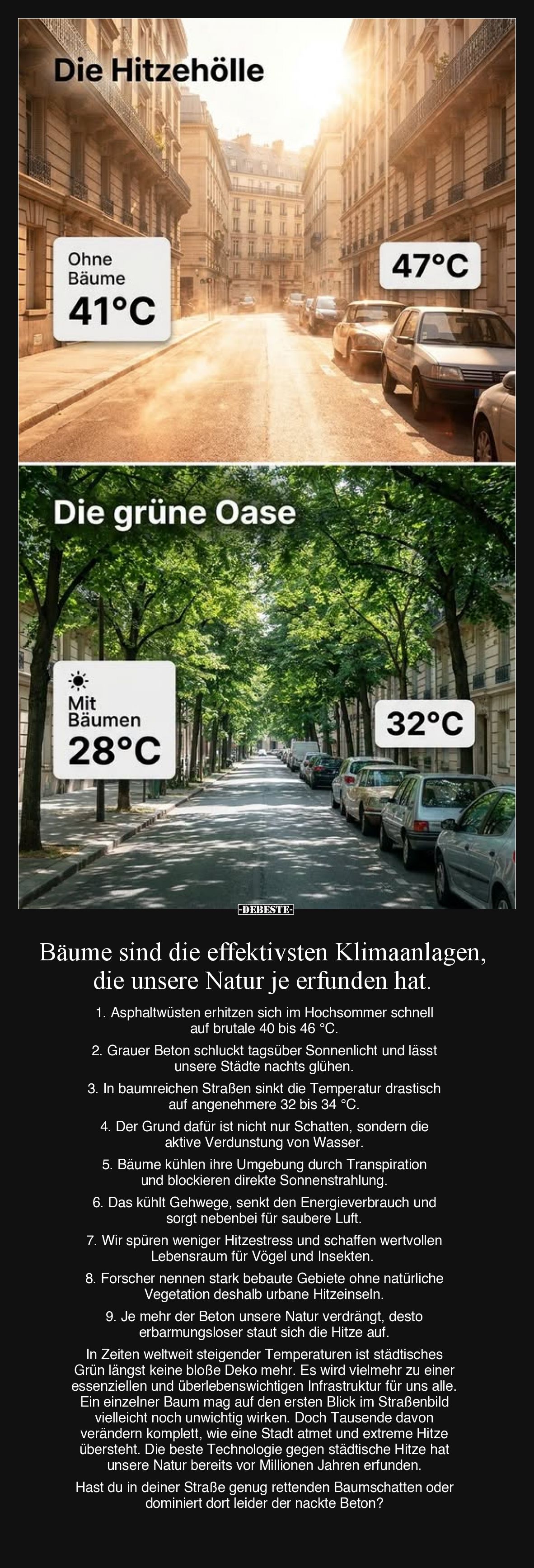 Bäume sind die effektivsten Klimaanlagen, die unsere.. - Lustige Bilder | DEBESTE.de