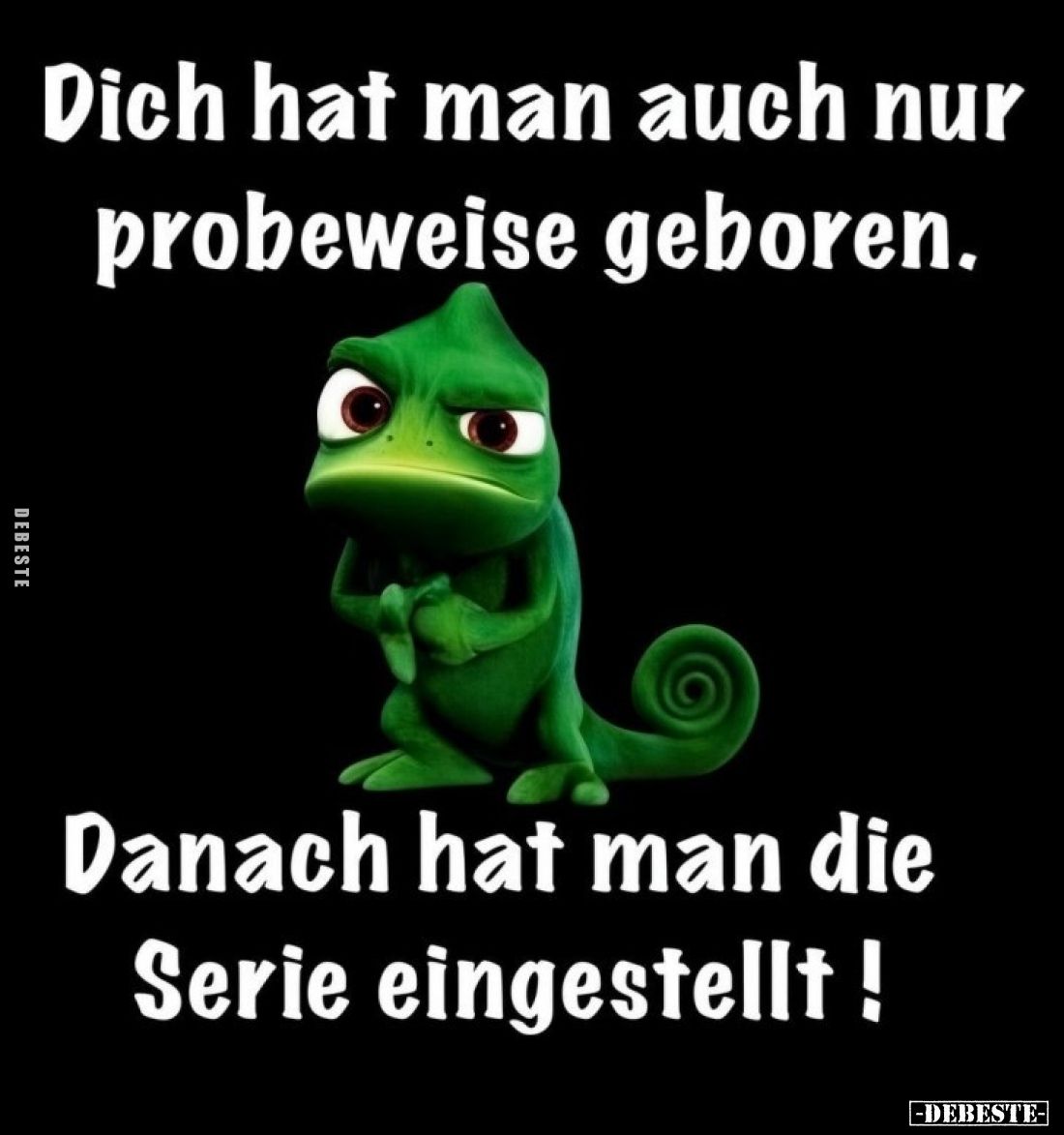 Dich hat man auch nur probeweise geboren.
Danach hat man die Serie eingestellt!
