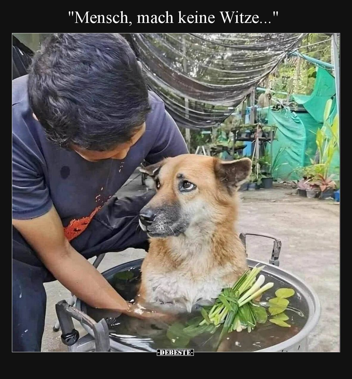 "Mensch, mach keine Witze...".. - Lustige Bilder | DEBESTE.de