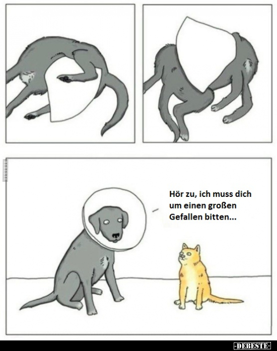 Hör zu, ich muss dich um einen großen Gefallen..