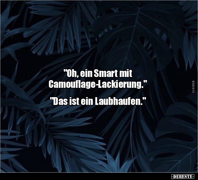 "Oh, ein Smart mit Camouflage-Lackierung.".. - Lustige Bilder | DEBESTE.de