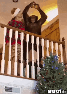 Nicht mal das kannst du..