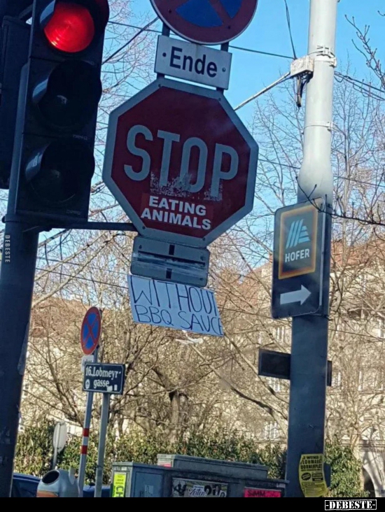  - Lustige Bilder | DEBESTE.de