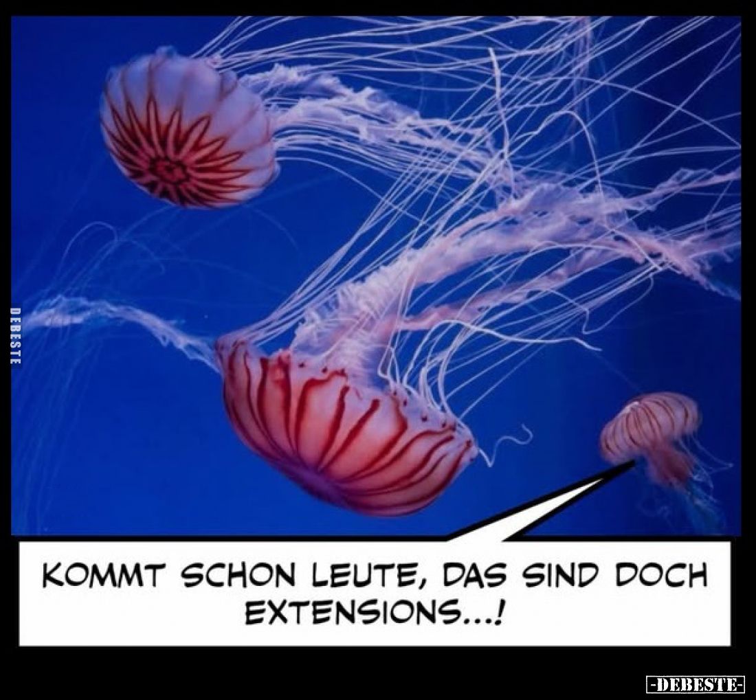 Kommt schon Leute, das sind doch Extensions...!
