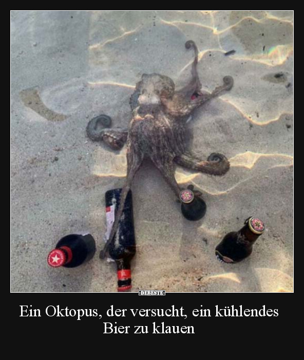 Ein Oktopus, der versucht, ein kühlendes Bier zu klauen.. - Lustige Bilder | DEBESTE.de