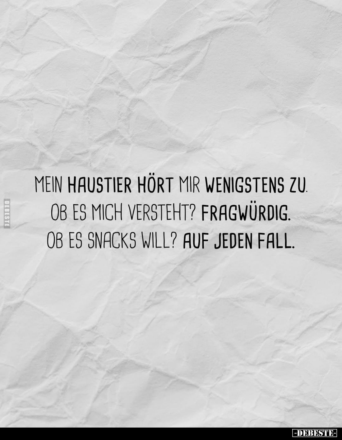 Mein Haustier hört mir wenigstens zu.
Ob es mich versteht? Fragwürdig.
Ob es Snacks will? Auf jeden Fall.