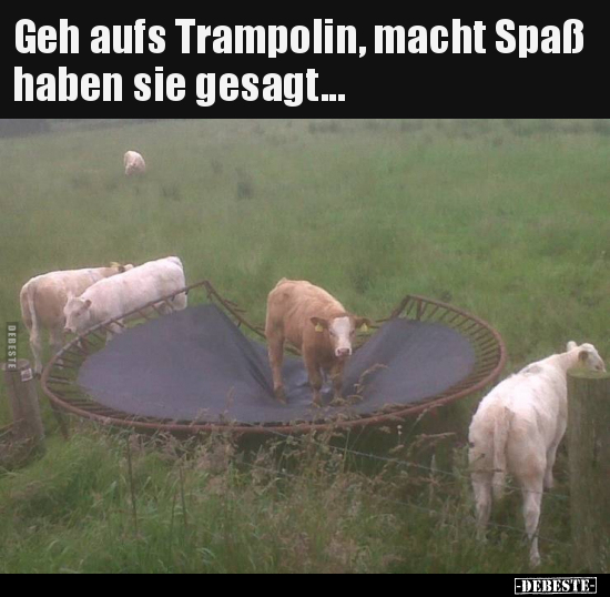 Geh aufs Trampolin, macht Spaß haben sie gesagt... - Lustige Bilder | DEBESTE.de