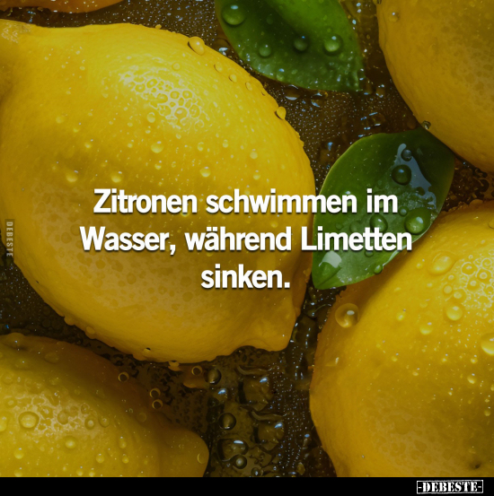 Zitronen schwimmen im Wasser, während Limetten sinken.. - Lustige Bilder | DEBESTE.de