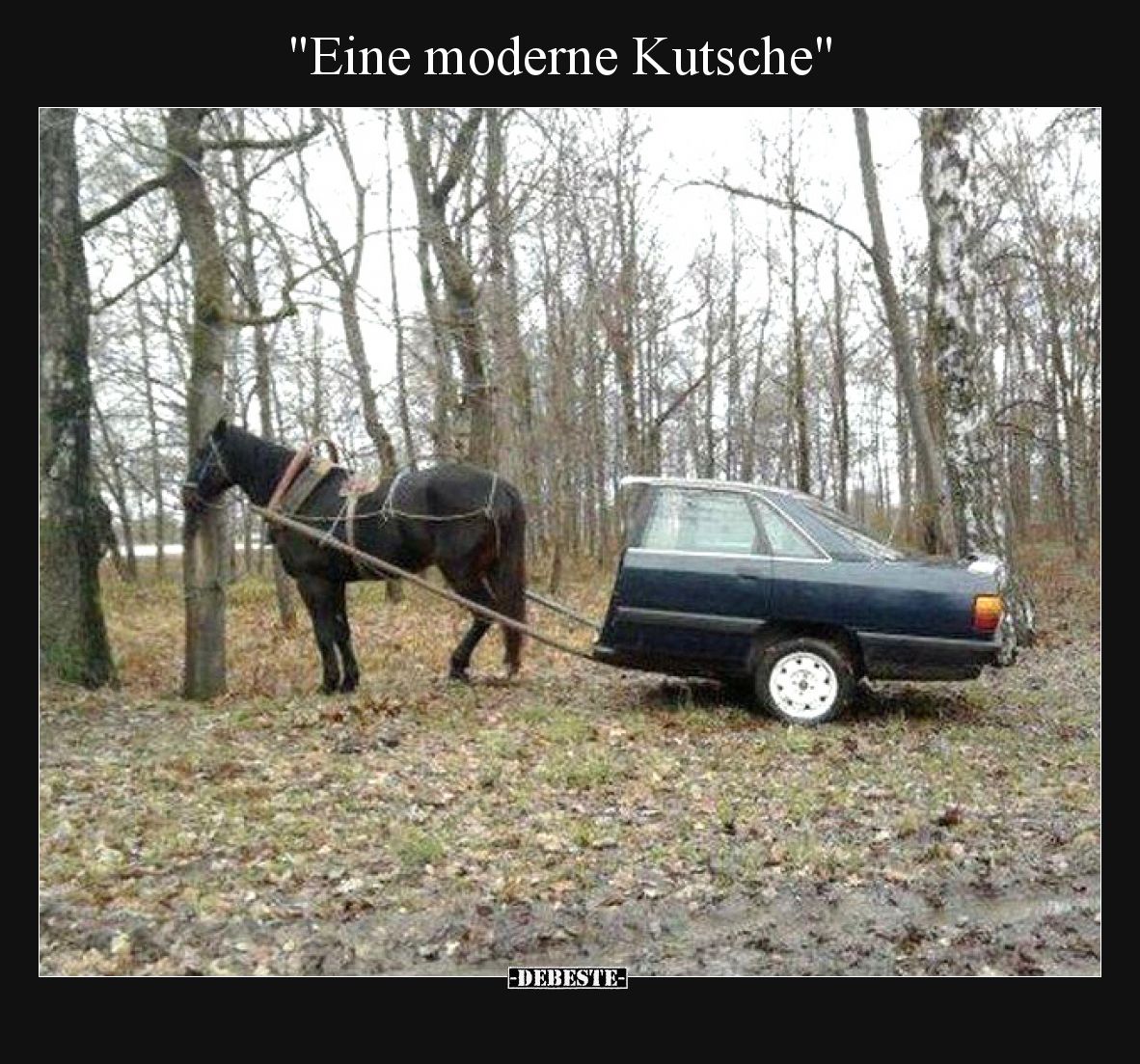 "Eine moderne Kutsche".. - Lustige Bilder | DEBESTE.de