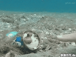  - Lustige Bilder | DEBESTE.de