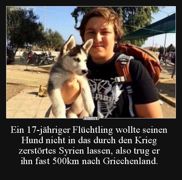 Ein 17-jähriger Flüchtling wollte seinen Hund nicht in..