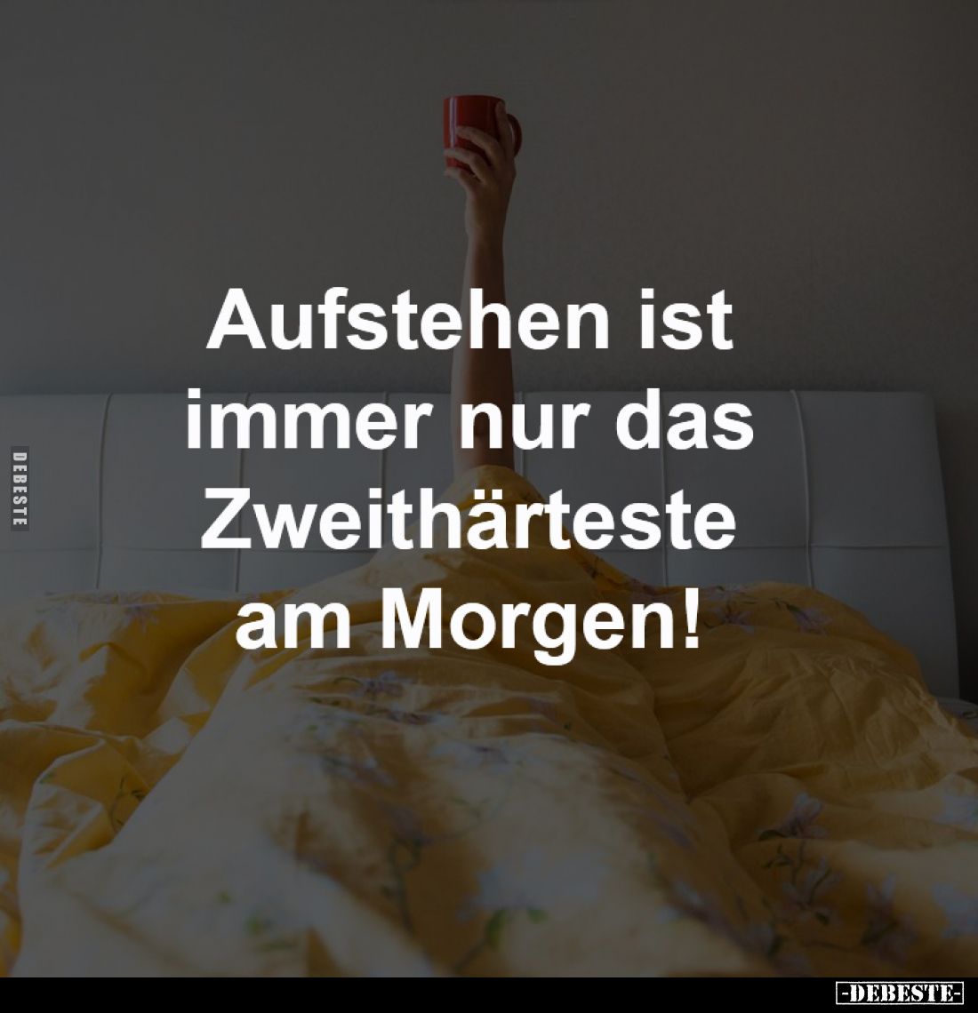Aufstehen ist
immer nur das
Zweithärteste
am Morgen!