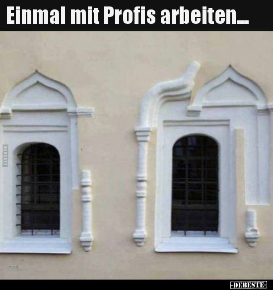 Einmal mit Profis arbeiten...