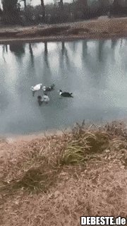 Guter Versuch Karl..