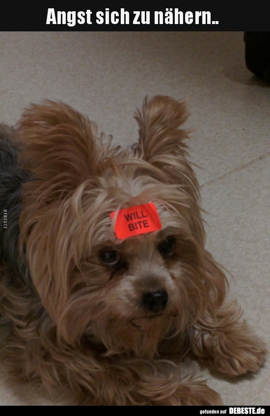 Angst sich zu nähern..