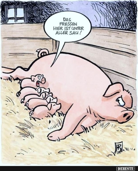 Das Fressen hier ist einer aller Sau!