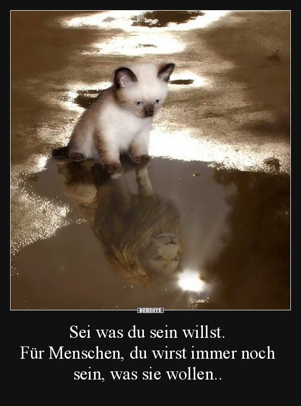 Sei was du sein willst..