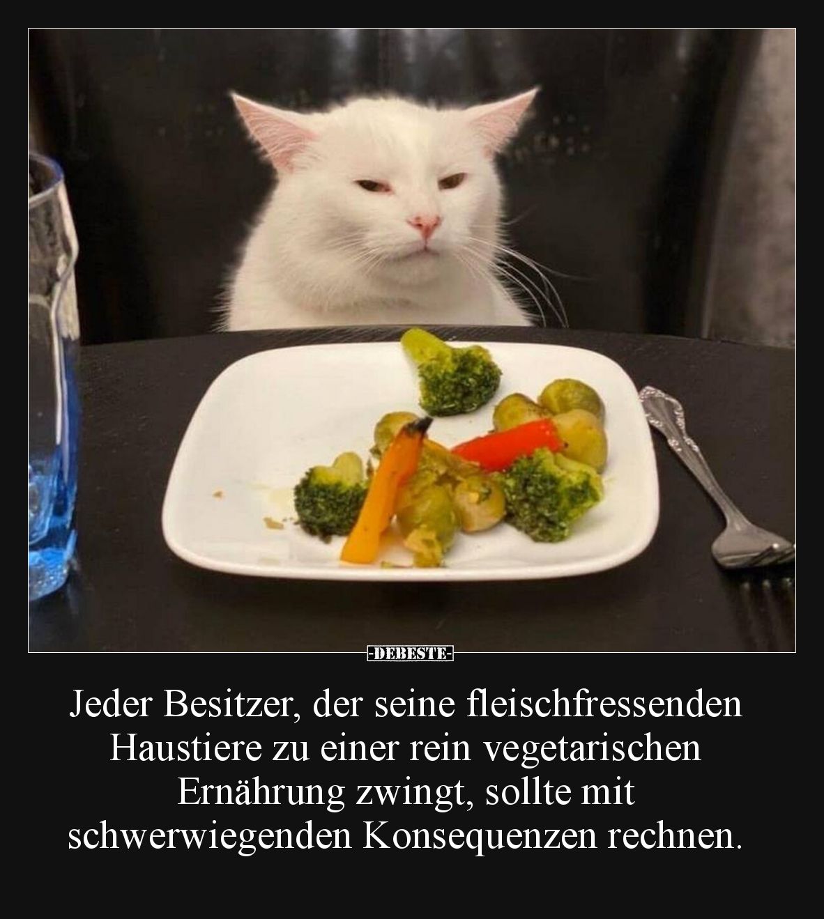 Jeder Besitzer, der seine fleischfressenden Haustiere zu.. - Lustige Bilder | DEBESTE.de