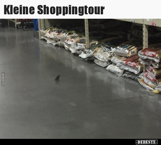 Kleine Shoppingtour.. - Lustige Bilder | DEBESTE.de