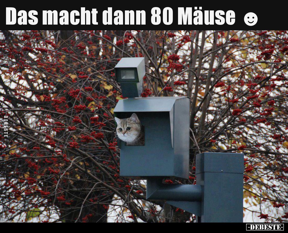 Das macht dann 80 Mäuse.