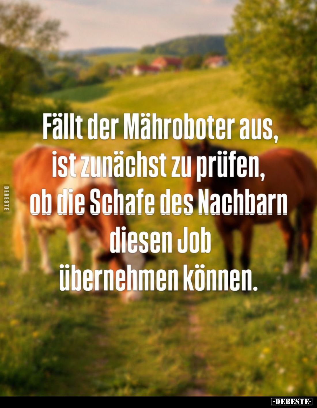 Fällt der Mähroboter aus, ist zunächst zu prüfen, ob die Schafe des Nachbarn diesen Job übernehmen können.