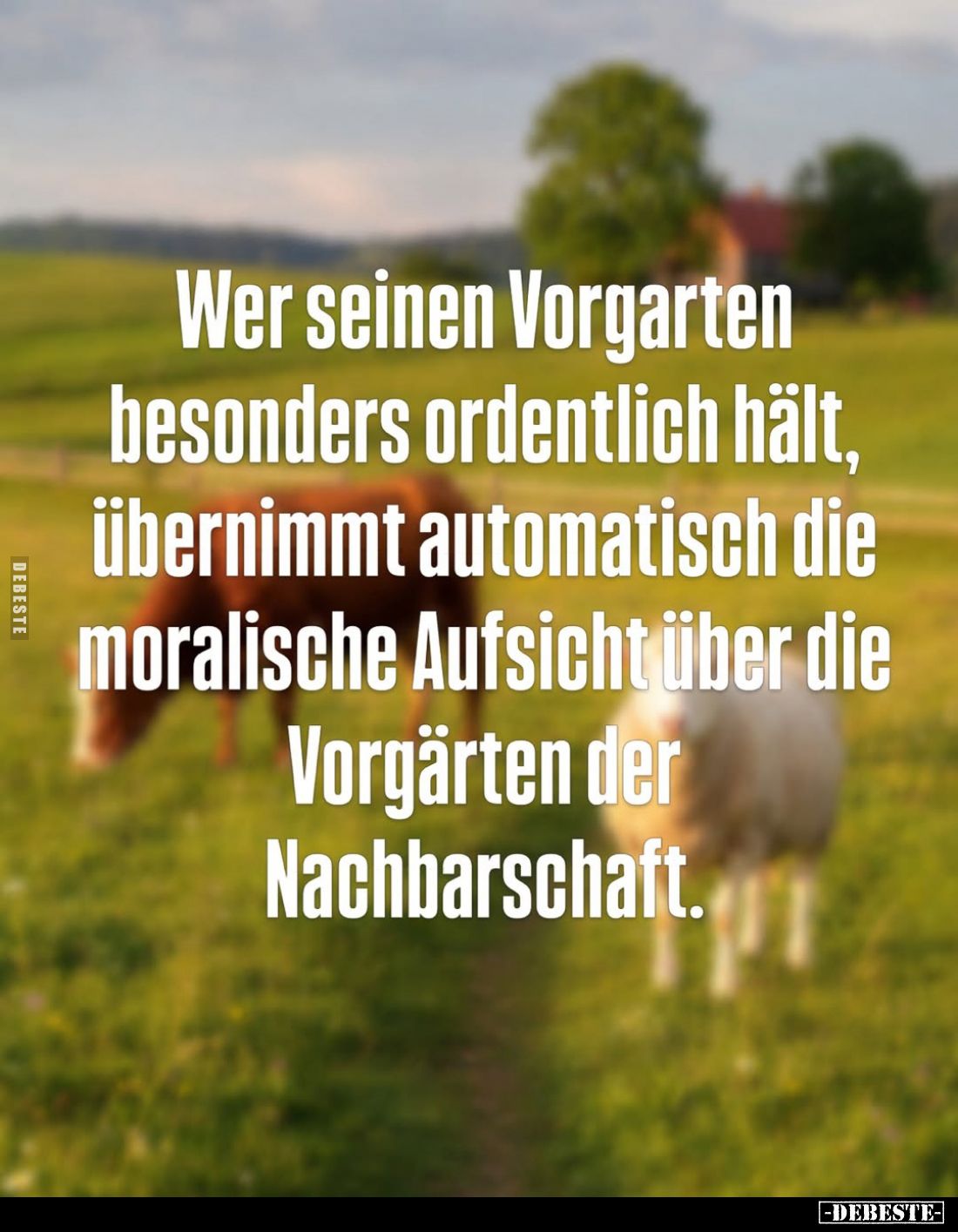 Wer seinen Vorgarten besonders ordentlich hält, übernimmt automatisch die moralische Aufsicht über die Vorgärten der Nachbars...