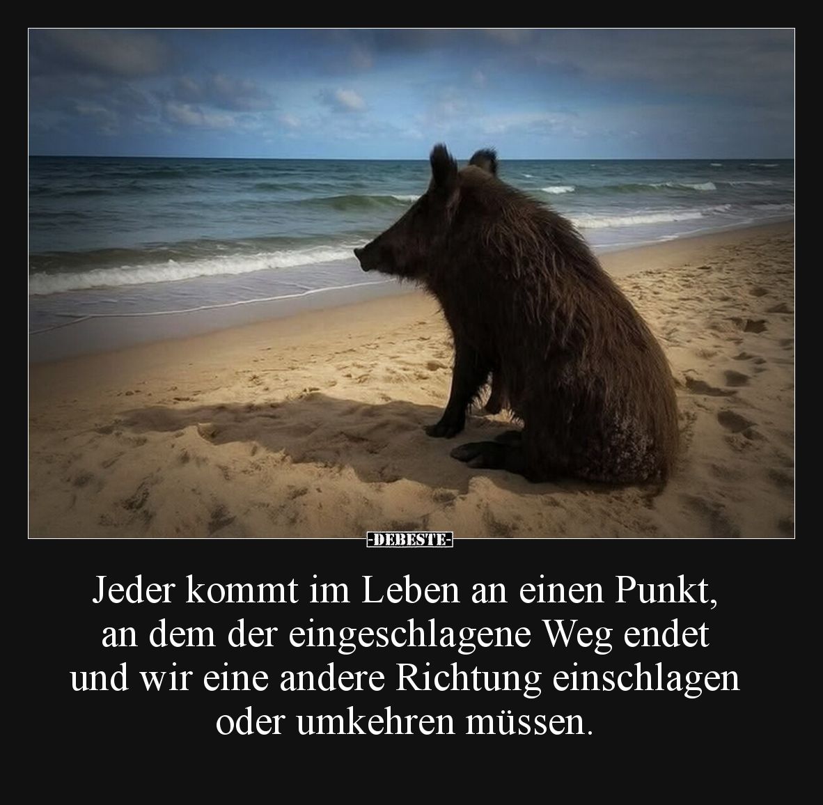 Jeder kommt im Leben an einen Punkt, an dem der eingeschlagene Weg endet und wir eine andere Richtung einschlagen oder umkehr...