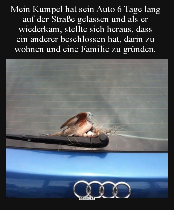 Mein Kumpel hat sein Auto 6 Tage lang auf der Straße..