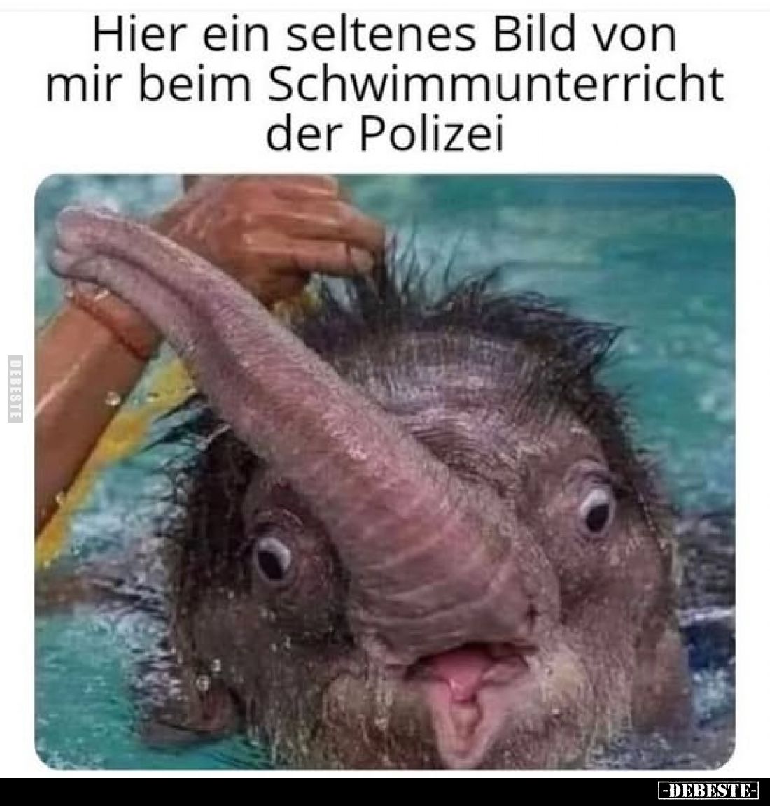 Hier ein seltenes Bild von mir beim Schwimmunterricht der Polizei