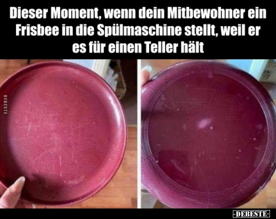 Dieser Moment, wenn dein Mitbewohner ein Frisbee in die.. - Lustige Bilder | DEBESTE.de