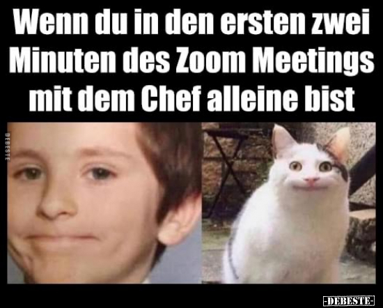 Wenn du in den ersten zwei Minuten des Zoom Meetings mit.. - Lustige Bilder | DEBESTE.de