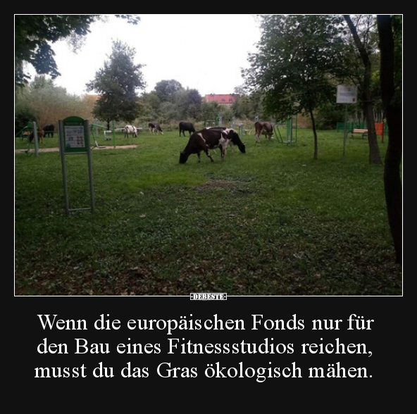Wenn die europäischen Fonds nur für den Bau eines..