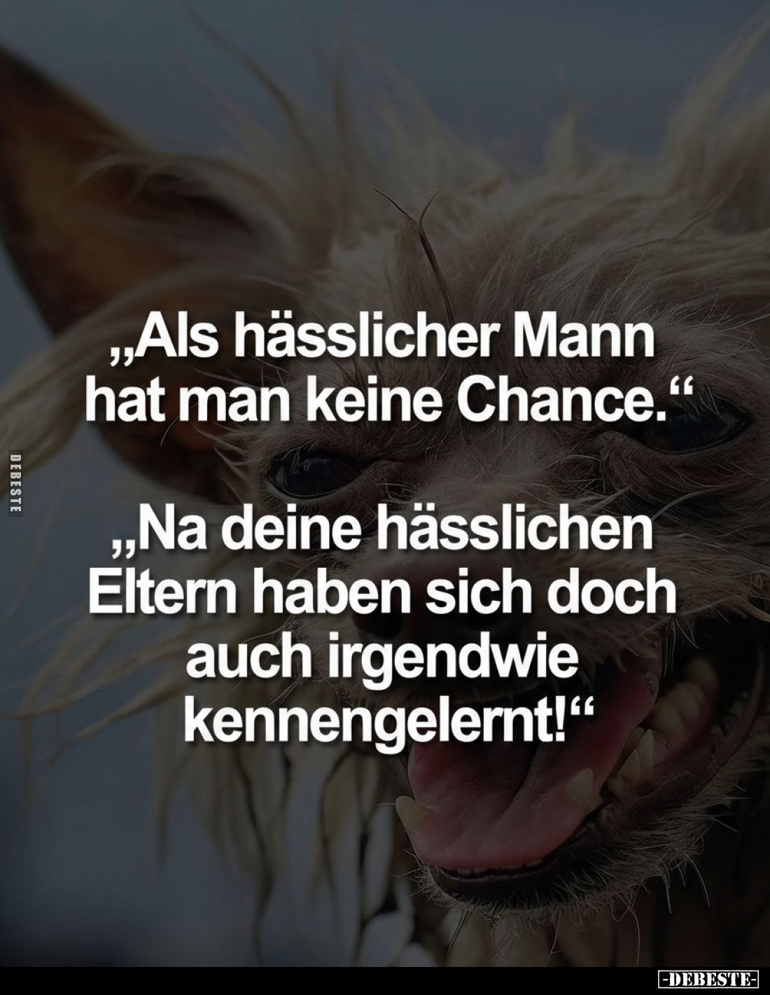 „Als hässlicher Mann hat man keine Chance."
„Na deine hässlichen Eltern haben sich doch auch irgendwie kennengelernt!“