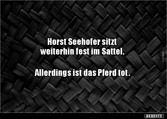 Horst Seehofer sitzt weiterhin fest im Sattel... - Lustige Bilder | DEBESTE.de