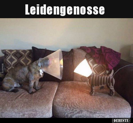 Leidengenosse..