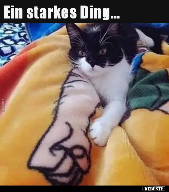 Ein starkes Ding...