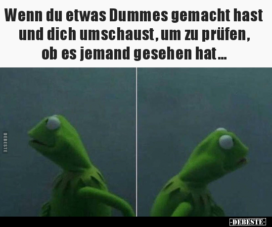 Wenn du etwas Dummes gemacht hast und dich umschaust, um zu.. - Lustige Bilder | DEBESTE.de