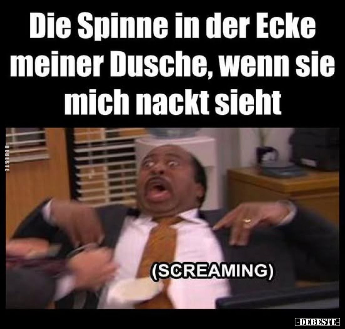 Die Spinne in der Ecke meiner Dusche, wenn sie mich nackt sieht
(SCREAMING)