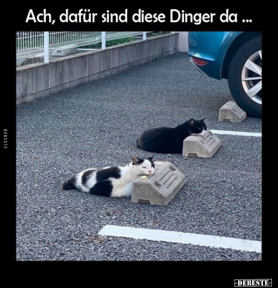 Ach, dafür sind diese Dinger da ...