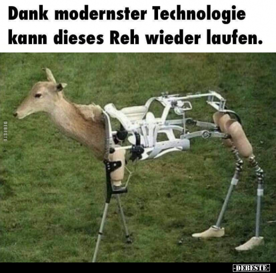 Dank modernster Technologie kann dieses Reh wieder.. - Lustige Bilder | DEBESTE.de