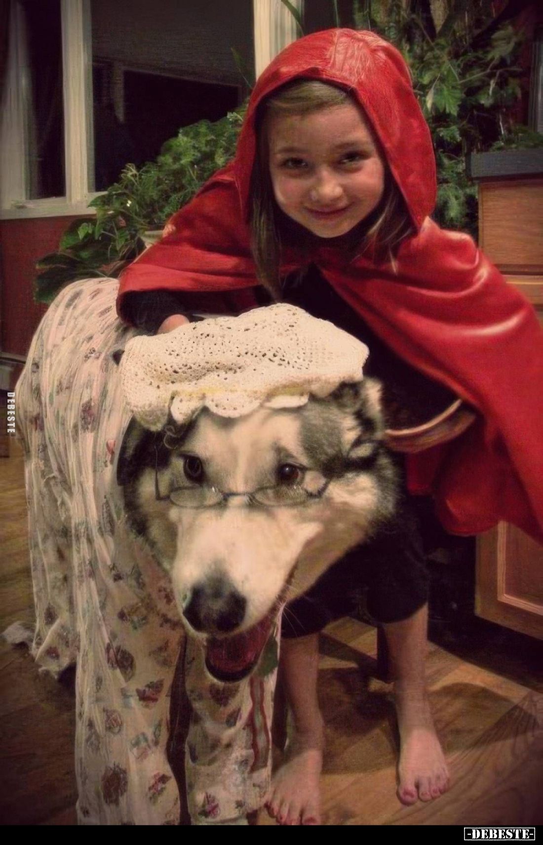  - Lustige Bilder | DEBESTE.de