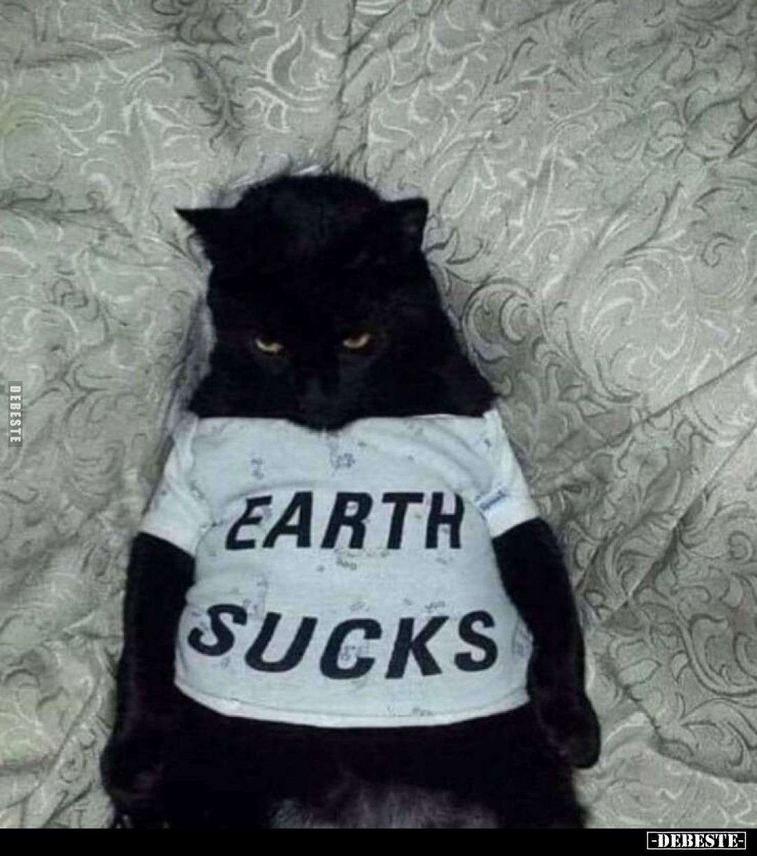 EARTH SUCKS