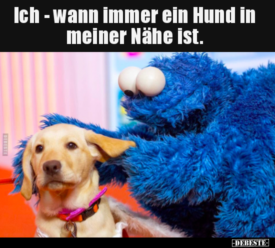 Ich - wann immer ein Hund in meiner Nähe ist... - Lustige Bilder | DEBESTE.de