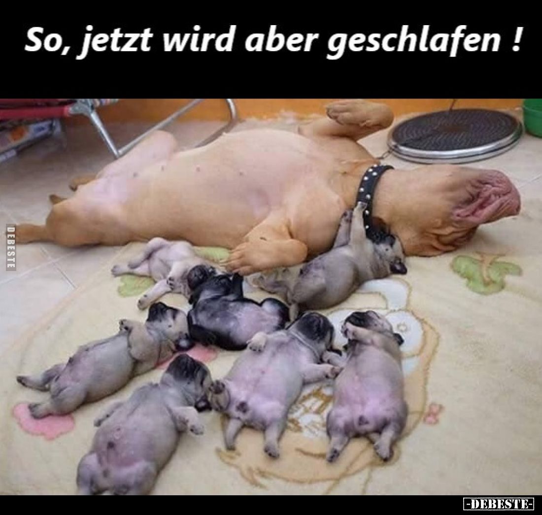 So, jetzt wird aber geschlafen!