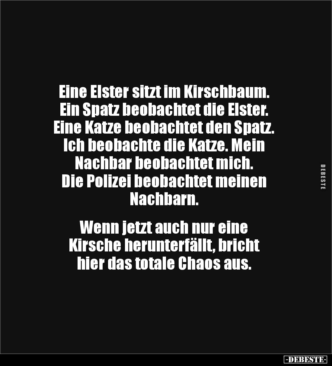 Eine Elster sitzt im Kirschbaum. 
Ein Spatz beobachtet die Elster. 
Eine Katze beobachtet den Spatz. 
Ich beobachte die Ka...