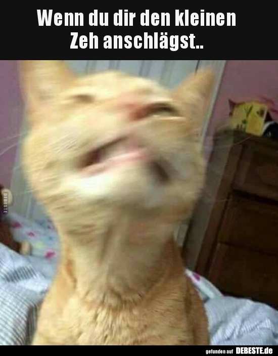 Wenn du dir den kleinen Zeh anschlägst..